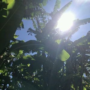 Meet your Posher, Kenzie